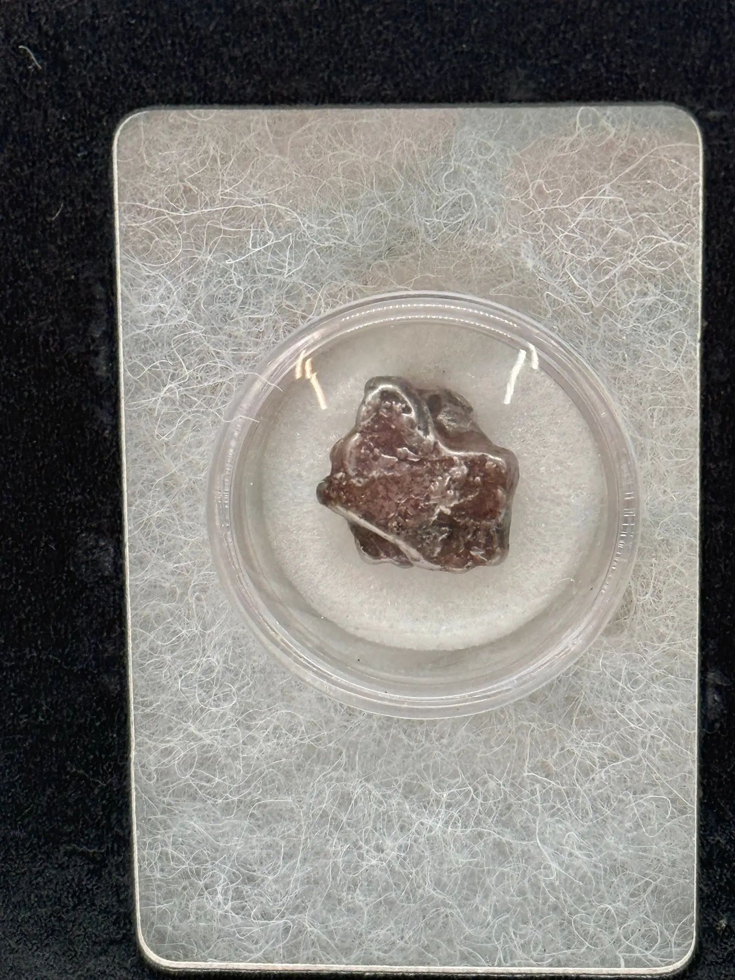 CAMPO DEL CIELO METEORITE IN DISPLAY CASE. NATURAL CRYSTAL AND FOSSIL COLLECTION