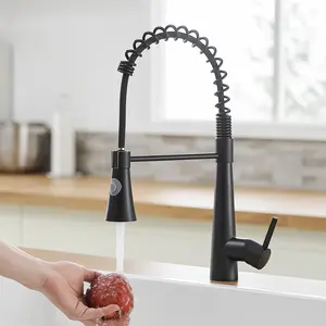 Commercial Black Pull-Out Sprayer Kitchen Faucet, High-Arc Design, Single-Lever Operation, DIY-Friendly Plumbing Valve Part