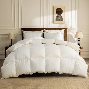 Lightweight   Down Comforter  Size, Hotel Luxury Duvet Insert with  Cotton Cover and Puffy  Down Filling, for Summer/Hot Sleepers,  White, 68x90 Inches