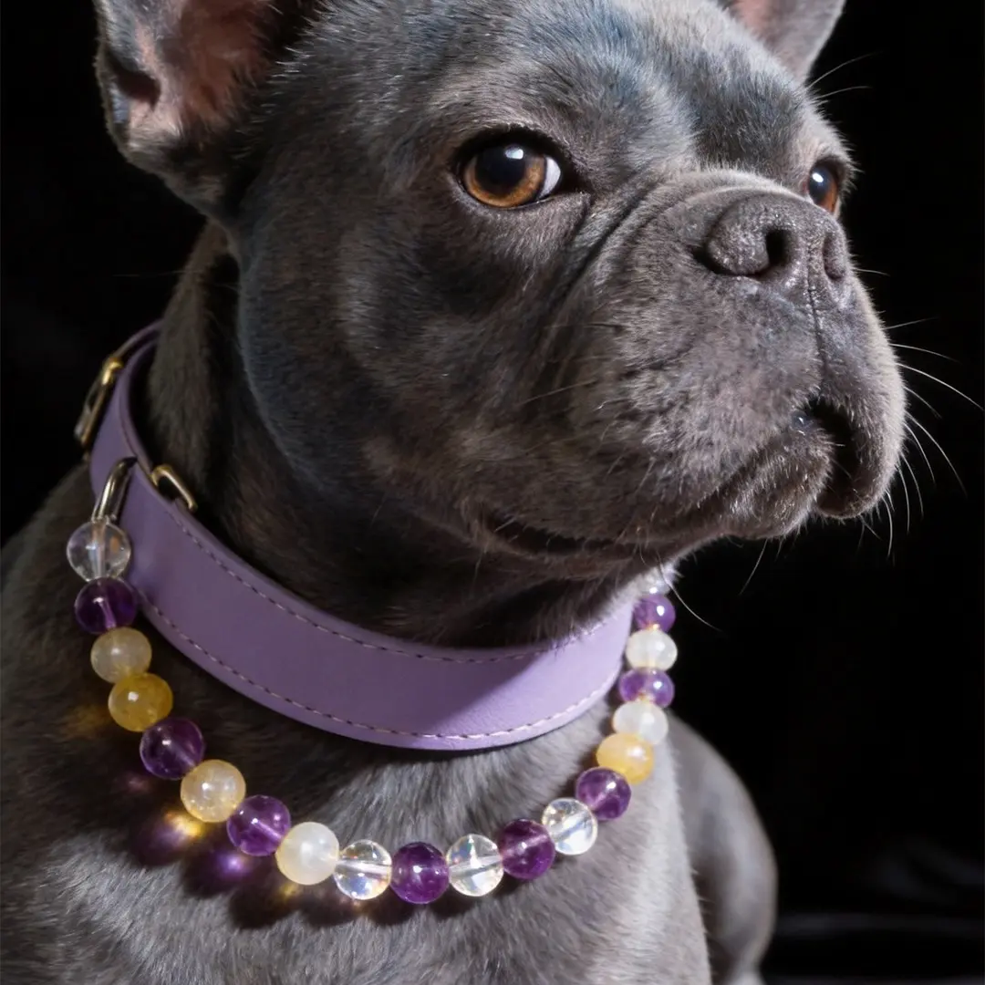 Crystal Energy Necklace for Puppies & Kittens