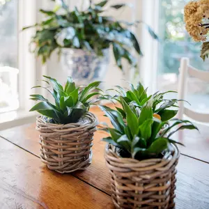 Rattan Flower Pot Basket with Plastic Inner Rattan Flower Pot Basket with Plastic Inner