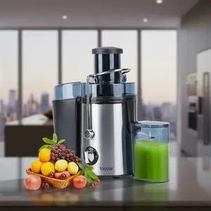 Ultra-Fresh 1000W Pro Juicer