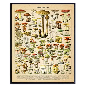 Mushroom Decor - Botanical Larousse Gastronomique Print - Rustic Vintage Dining Room, Kitchen Decor - Boho Country Farmhouse Wall Art for Cafe - Restaurant Wall Art Poster - Housewarming Gift