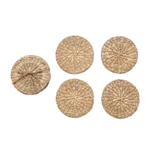 MEXICAN PALM COASTER