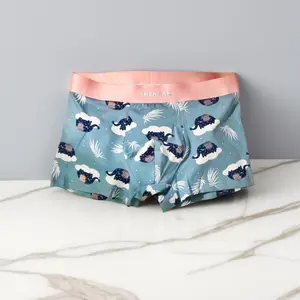 Green elephant Zeus briefcase, Funny Men's Boxer Briefs Valentines Day Gift Boyfriend, Men's Underwear, Gift For Husband