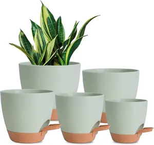 Pots Indoor 7/6.5/6/5.5/5 Inch Self Watering Planters for Indoor  with Drainage Hole, Plastic Flower Pots for ,  Violet (Green)