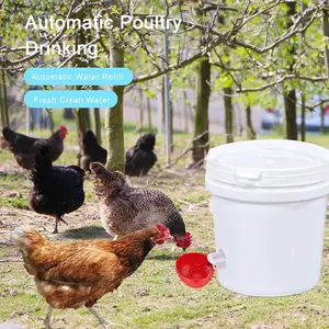 Professional Chicken Water Cup, Large Poultry Water Feeder, Auto Drinking Bowl for Ducks, Chickens, Geese, Turkeys, Rabbits, Birds