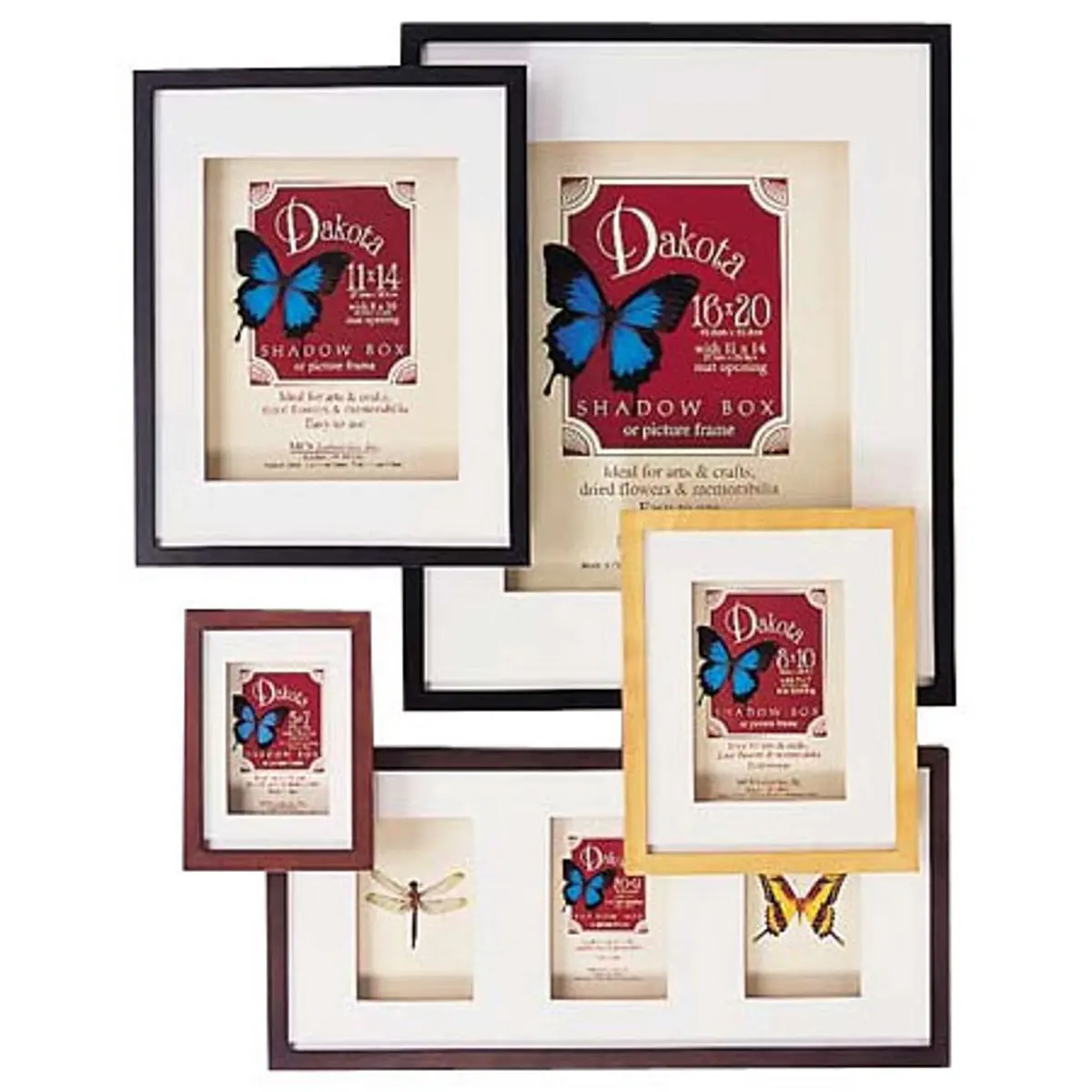 MCS Dakota Wood Shadow Box Picture Frame for 8x10" Photograph