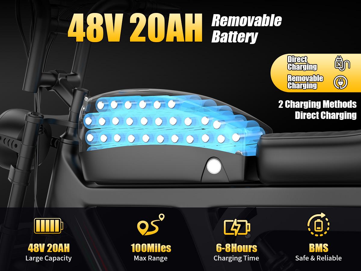 Pikabike Electric Motorcycle 1800W Off-Road 30MPH 100Mile Range 48V 20AH Battery 20"×4.0" Fat Tires Electric Mountain Bike for Snow, Sand, Full Suspension, NFC & Password Unlock, 7 Speed Electric Dirt Bike