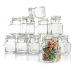 3 oz Small Glass Jars With Airtight Lids, Glass Spice Jars - Leak Proof Rubber Gasket and Hinged Lid for Home and Kitchen, Small Glass Containers with Lids for Party Favors (12 Pack)