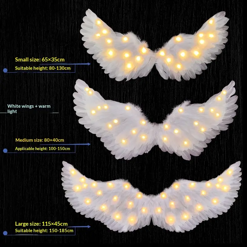 White Swallow Wings + Warm Light