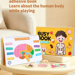 Body Structure Recognition Book, Full Color Busy Book for Kids, Reusable Quiet Book, Educational Toy for Early Learning, School Biology Course, Preschool Learning Materials
