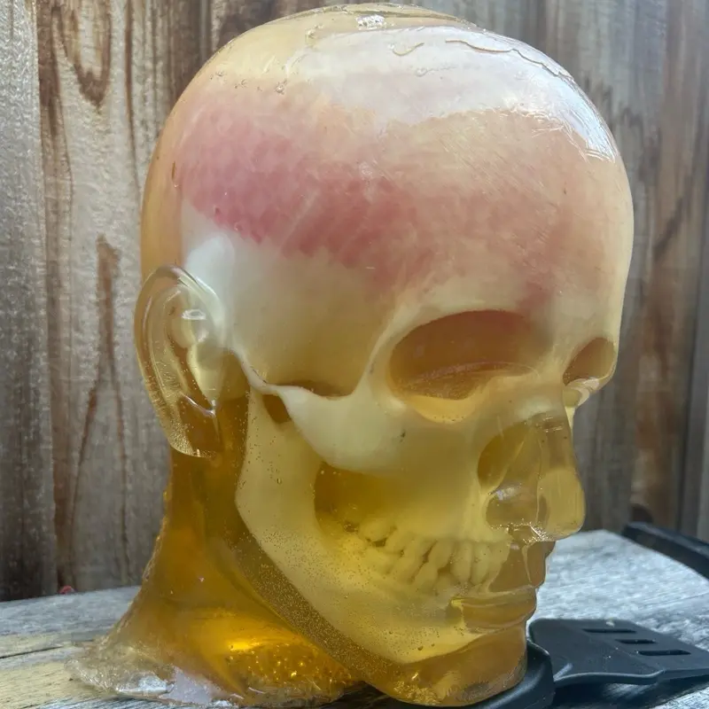 Ballistic Gel Head with Skull & Brain – Hybrid Gel Shooting Target – Life-Size Reusable Gel Head for Firearms & Archery Testing