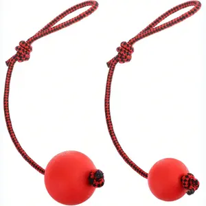 Durable Chew Toy Ball on Rope, 2 Counts Pet Training Teeth Cleaning Toy, Pet Interactive Toy, Dog & Cat Accessories