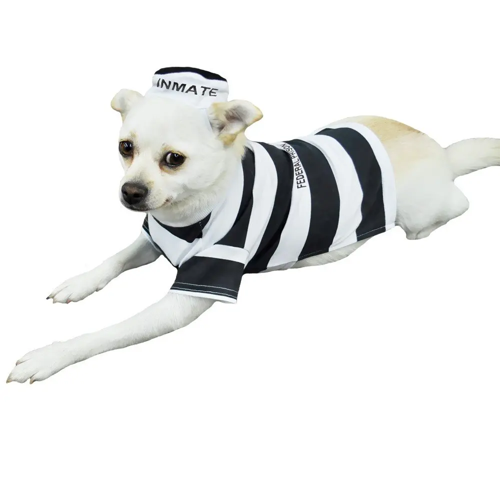Otis and Claude Medium Prison Pooch Costume for Fashionable Dogs