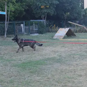 Dog/Puppy Obedience Recall Training Agility Lead - 15ft 20ft 30ft 40ft 50ft Training Leash - Great for Play, Camping, or Backyard (Mint Blue, 20 Feet)