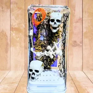 Pre Decorated Jumping Spider Enclosure "Haunted Forest"