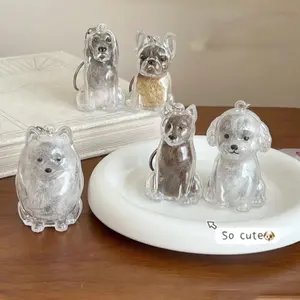 Transparent Dog Hair Memorial Keychain For Bags, Cute Puppy Design, Pet Fur Storage Box, Ideal Gift for Dog Owners, Simple Display, Key Fob