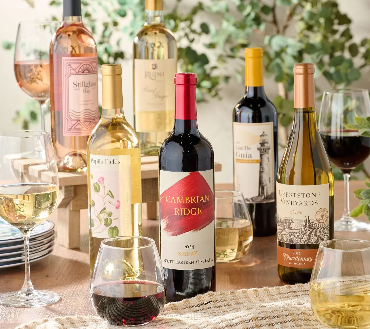 Vino Voyage (12) 750ml Wines of the World Bottle Set Vino Voyage (12) 750ml Wines of the World Bottle Set