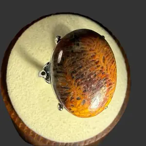 Natural Silicified Coral Fossil agate-crystal Ring - Silver-Plated Copper, Adjustable Fit, Natural Materials