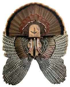 Fan and Wing Mount Plaque