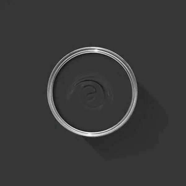 Farrow & Ball Pitch Black NO.256 🚚 Free Shipping!