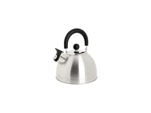 Mr. Coffee Carterton 1.5 Quart Stainless Steel Whistling Tea Kettle, Silver 91408.02