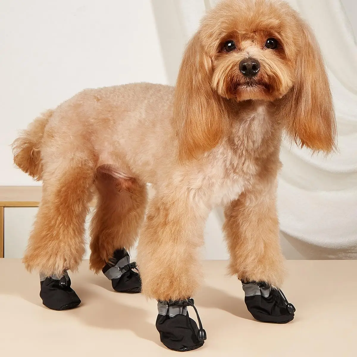 Cat Socks, 4 Counts/set Anti Slip Dog Socks, Pet Foot Covers, Pet Paw Covers, Pet Paw Protector Socks for Outing Walking Hiking & Running, Cat Stuff,