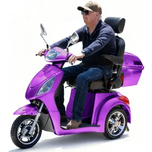 Super Large 3-Wheel Mobility Scooter for Seniors & Adults, 800W Motor, 500 lbs Capacity, Fully Assembled, Ready to Ride, Remote Key, Adjustable Speed, LED Lights