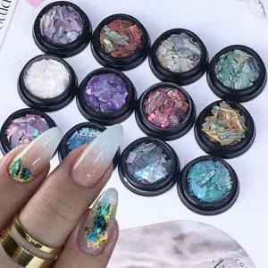 12 Colors Of Abalone Shell Nail Decoration, Irregular Sequins Nail Art Accessories, Diy Nail Art Decoration for Women & Girls, DIY Nail Kit