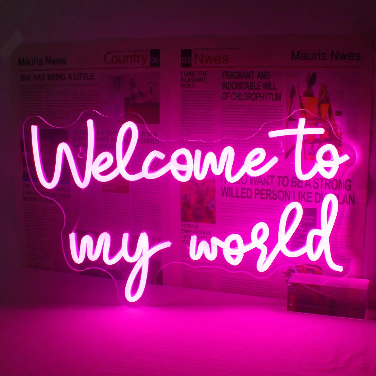 Welcome To My World Neon Sign, USB Powered LED Neon Light, Wall Hanging Neon Sign, Decorative Lighting for Home, Office, Shop, Coffee Shop, Restaurant