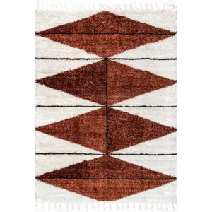 Kali Shaggy Diamond Tassel Area Rug