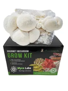 Myco Labs Lion's Mane Mushroom Grow Kit - 5lbs