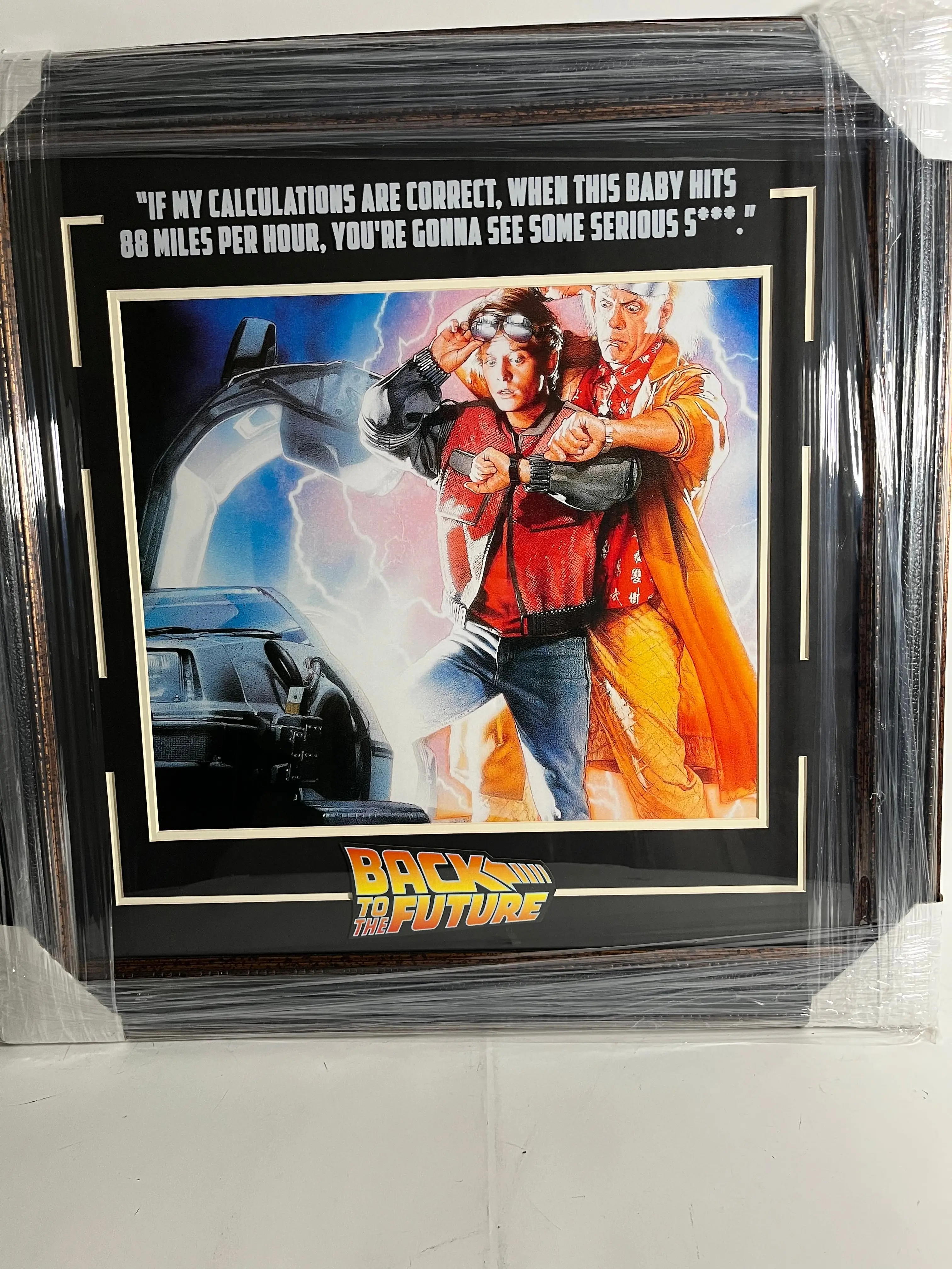 Back to the Future Collage & Quote – Deluxe Framed Display