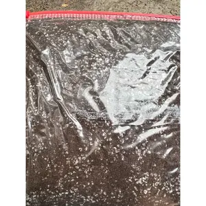 Carnivorous soil mix 1 Gallon