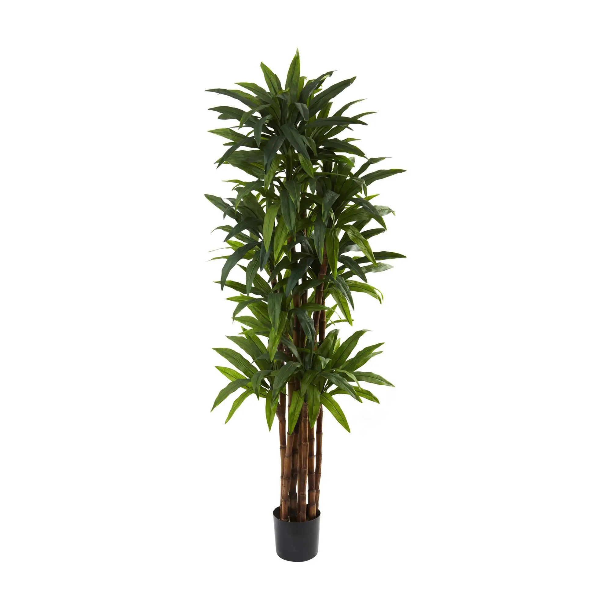 Nearly Natural 6.5' Dracaena Tree