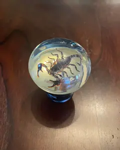 SCORPION GEAR SHIFT KNOB