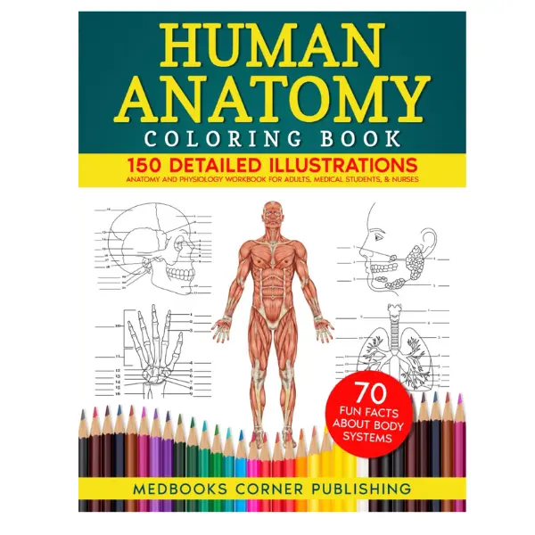 Human Anatomy Coloring Book: 150 Detailed Illustrations & 70 Fascinating Facts in an Anatomy and Physiology Workbook for Adults, Medical Students, & Nurses Focused on Advanced Body Systems Learning