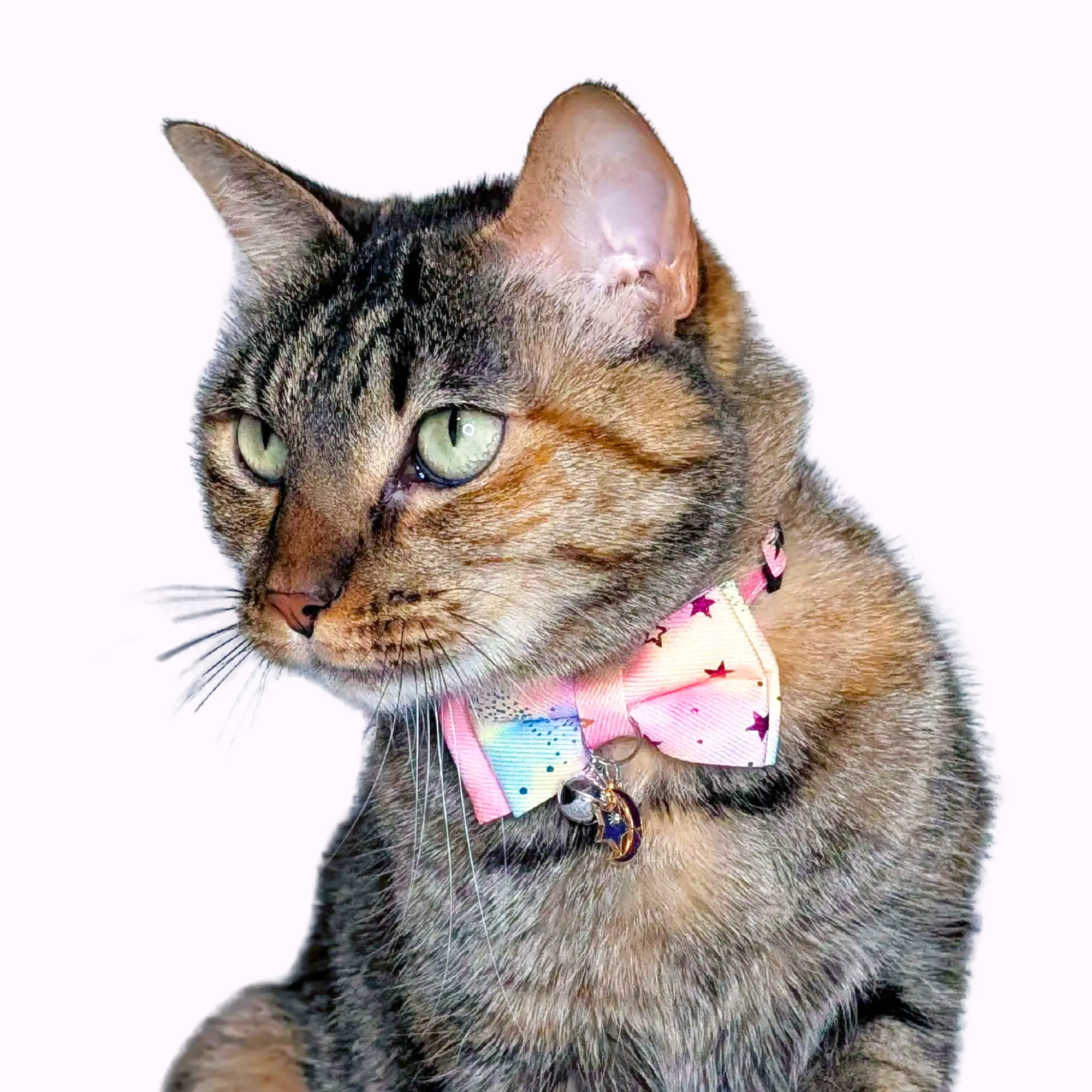 Pink Celestial Ombre Bowtie Cat Collar