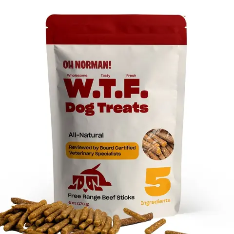 WTF Treats: Free Range Beef Jerky - Soft Beef Jerky Dog Treats by Kaley Cuoco, Healthy Dog Treats, All Life Stages and Breeds, Air Dried, Ethically Sourced Free Range Beef,6 Oz