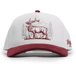 Waggle Adult Cotton Baseball Hat