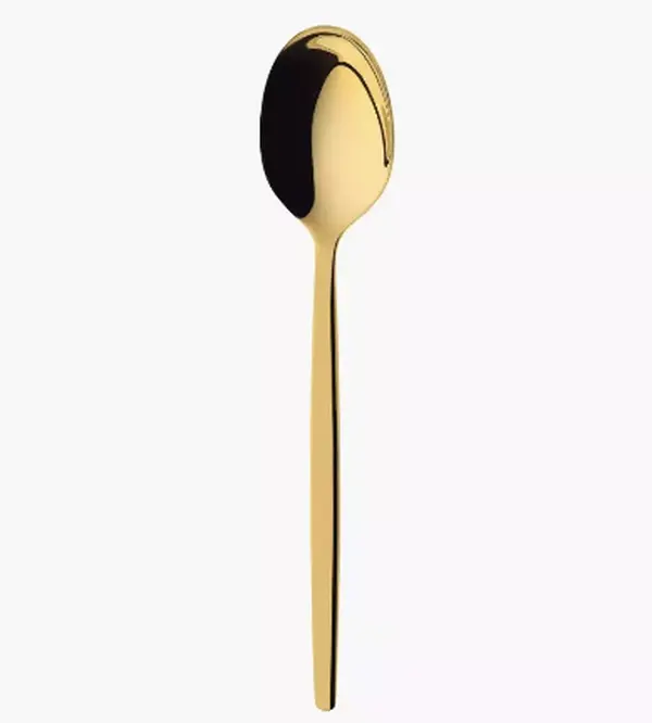Gold Colored Stainless Steel Teaspoon - Set of Twelve
