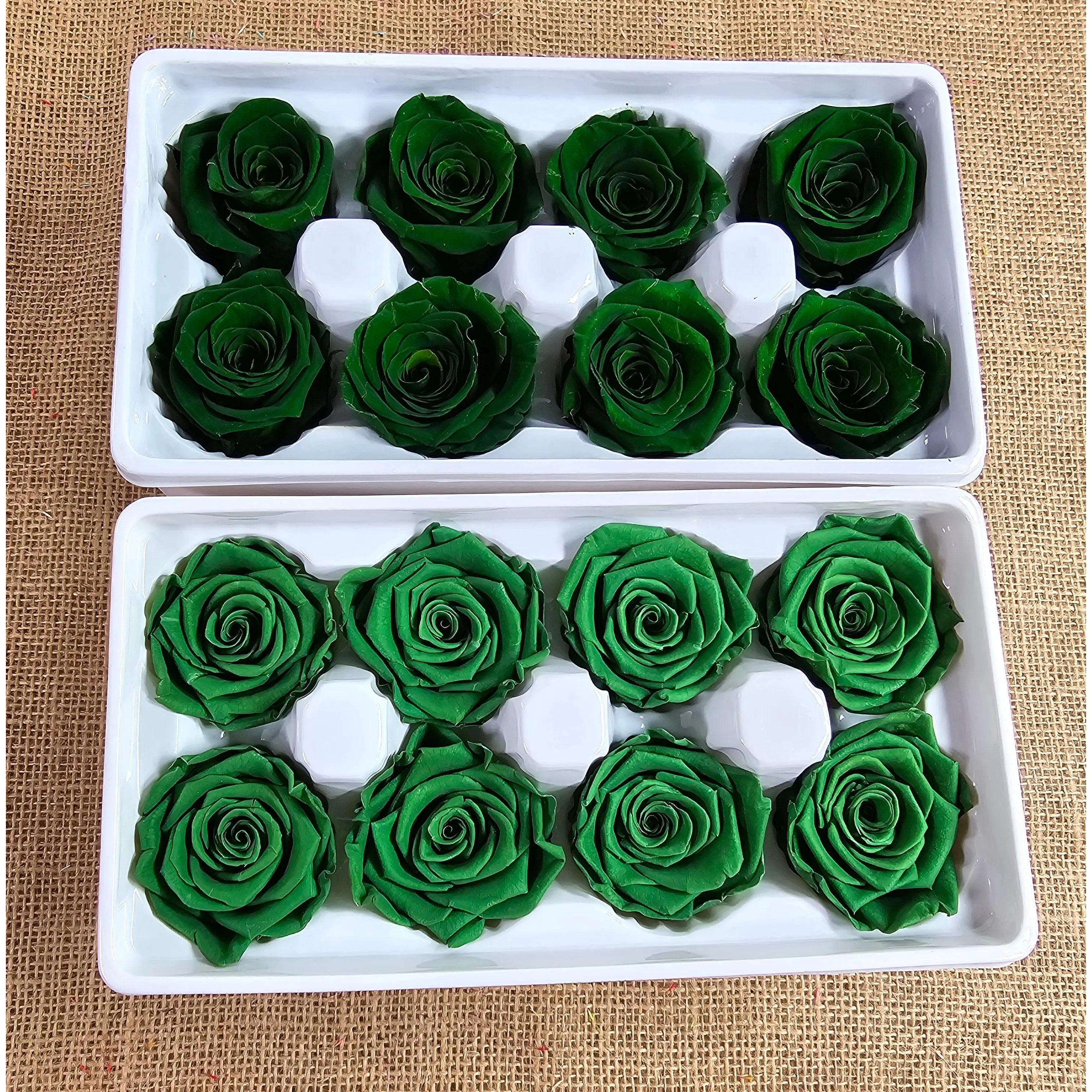 8 Preserved Roses - Dark green - For Prom, Christmas, Wedding - Dried Roses For Bouquet - Eternity Roses - Forever Roses