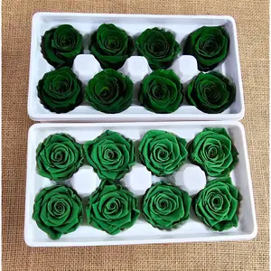 8 Preserved Roses - Dark green - For Prom, Christmas, Wedding - Dried Roses For Bouquet - Eternity Roses - Forever Roses