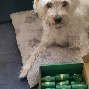 Earth Rated | Dog Poop Bag Dispenser with Dog Poop Bags, Durable and Guaranteed Leakproof, Lavender Scented, 1 Dispenser and 900 Bags