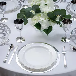 49 Pc. Silver Geometric Charger & Dinner Plate Kit for 24 Guests