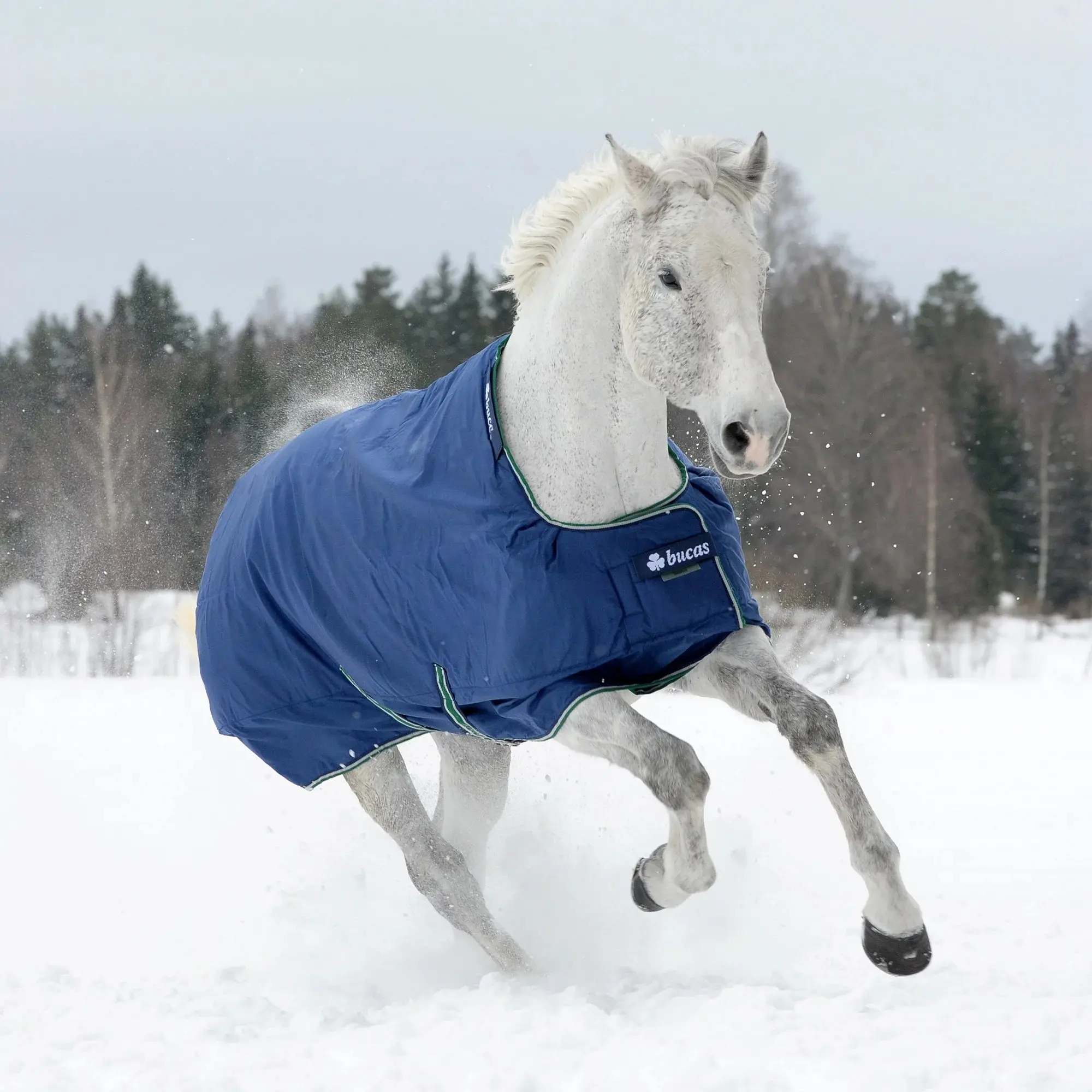 Toklat Bucas Smartex Horse Sheet - Premium All-Weather Stay-Dry Turnout - Multiple Sizes Extra (300G) / 69