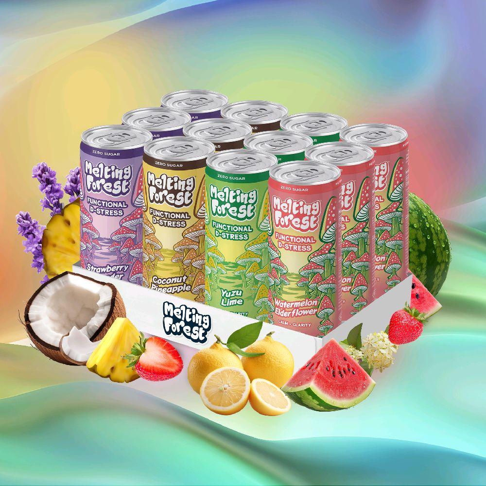 Melting Forest Functional Mushroom D-Stress Variety Pack 12 Cans Reishi & Lion’s Mane Relaxation Focus Calm Balance Zero Sugar Vegan Gluten-Free Magnesium Rhodiola L-Theanine