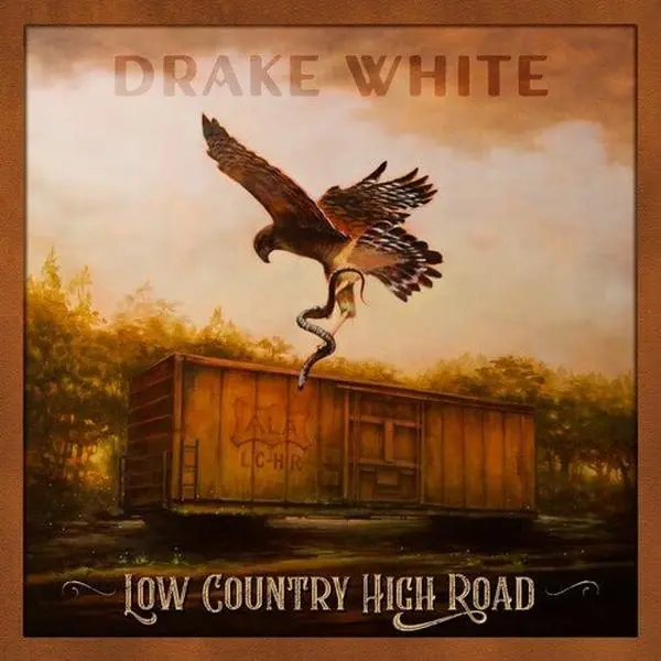 WHITE,DRAKE - LOW COUNTRY HIGH ROAD Vinyl LP