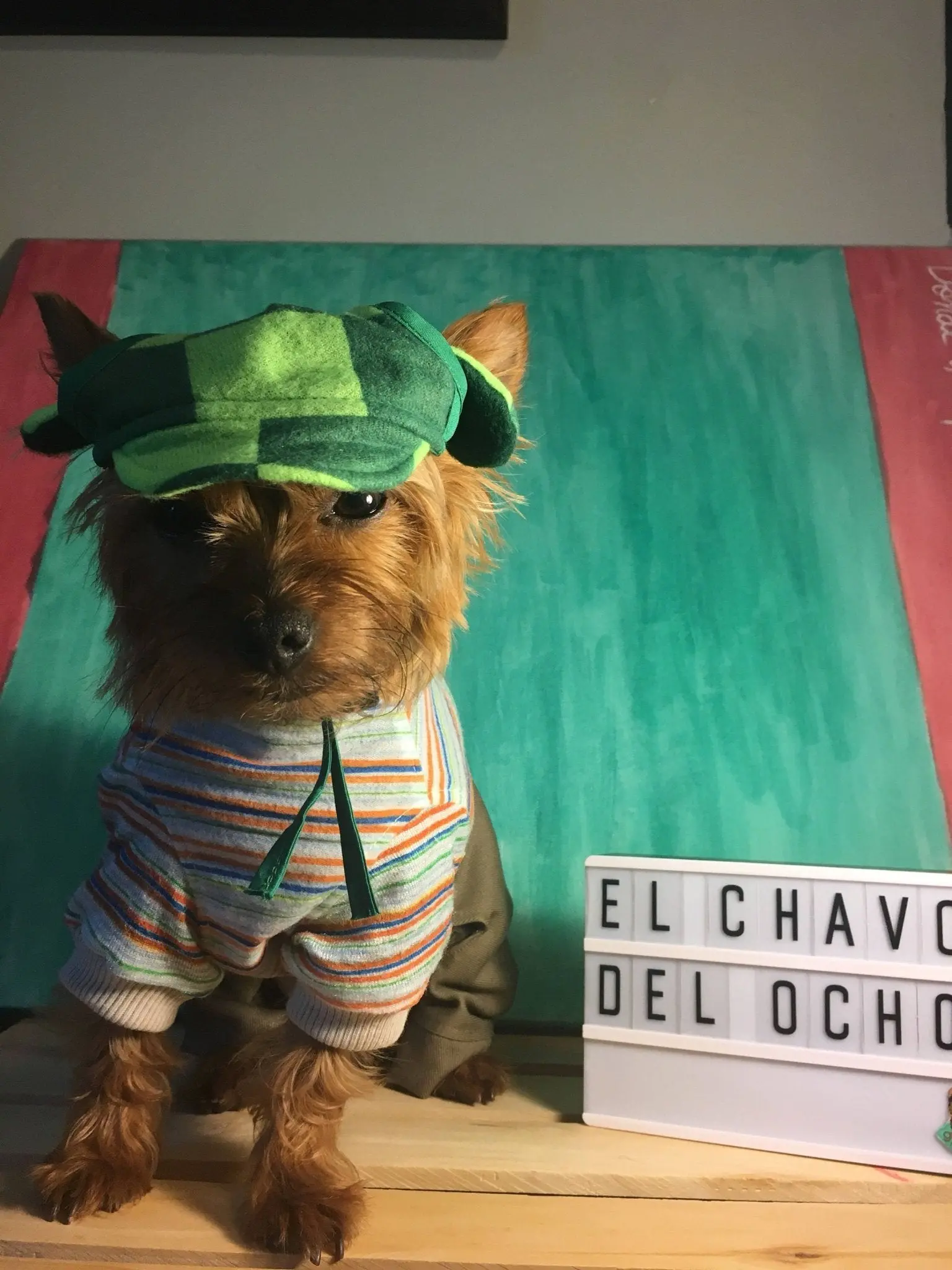 El Chavo del Ocho Dog costume